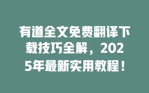 有道全文免费翻译下载技巧全解,2025年最新实用教程! 一