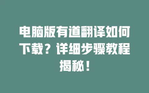 电脑版有道翻译如何下载？详细步骤教程揭秘！ 一