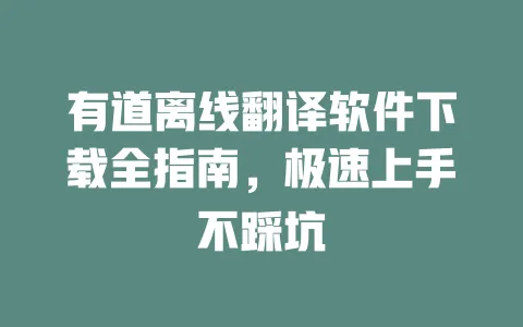 有道离线翻译软件下载全指南,极速上手不踩坑 一