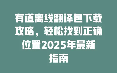 有道离线翻译包下载攻略,轻松找到正确位置2025年最新指南 一