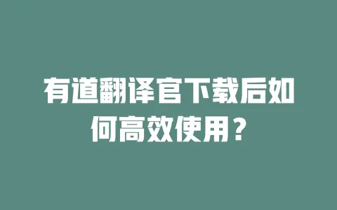 有道翻译官下载后如何高效使用? 一