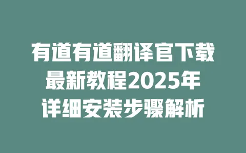 有道有道翻译官下载最新教程2025年详细安装步骤解析 一